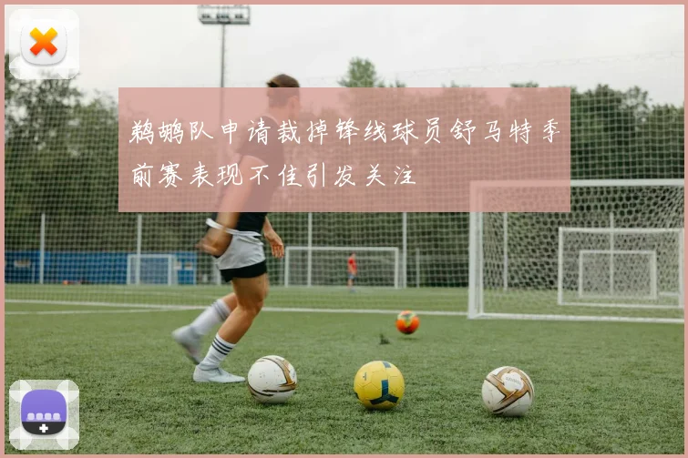 鹈鹕队申请裁掉锋线球员舒马特季前赛表现不佳引发关注