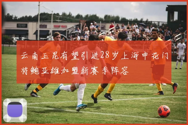云南玉昆有望引进28岁上海申花门将鲍亚雄加盟新赛季阵容
