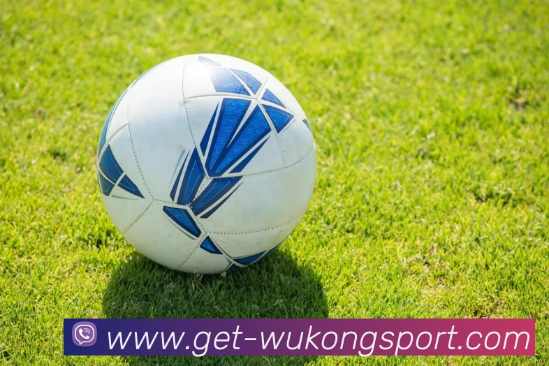 悟空体育APP 高清赛事图